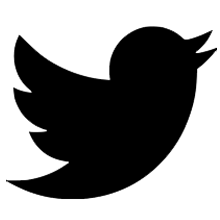 twitter icon